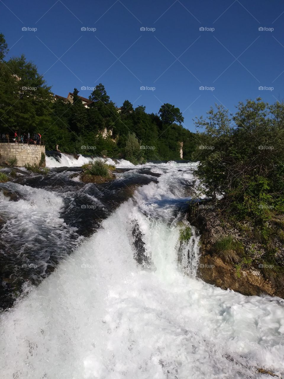 Rhein Wasserfall Schweiz