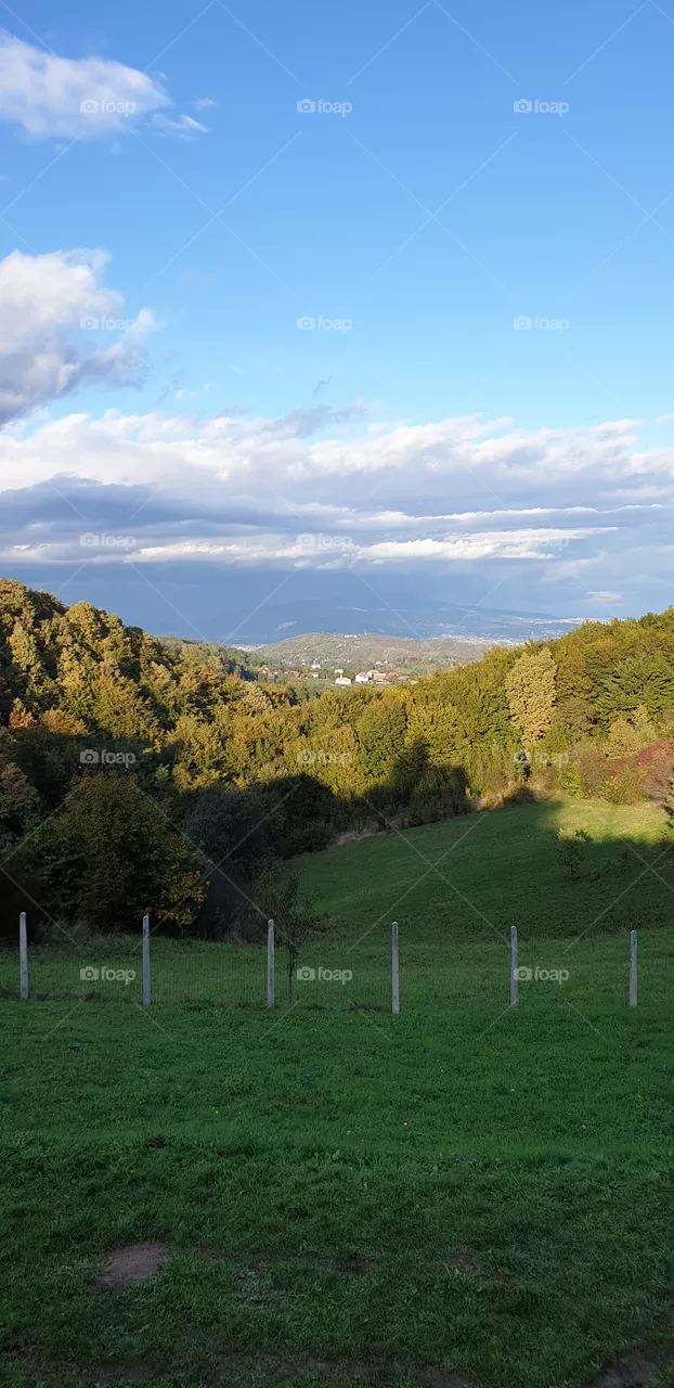 mountin and forest