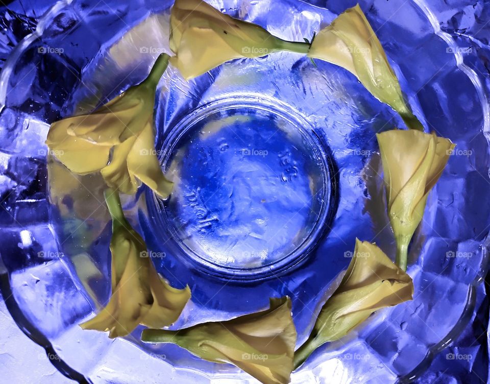 Flower arrangement in water bowl