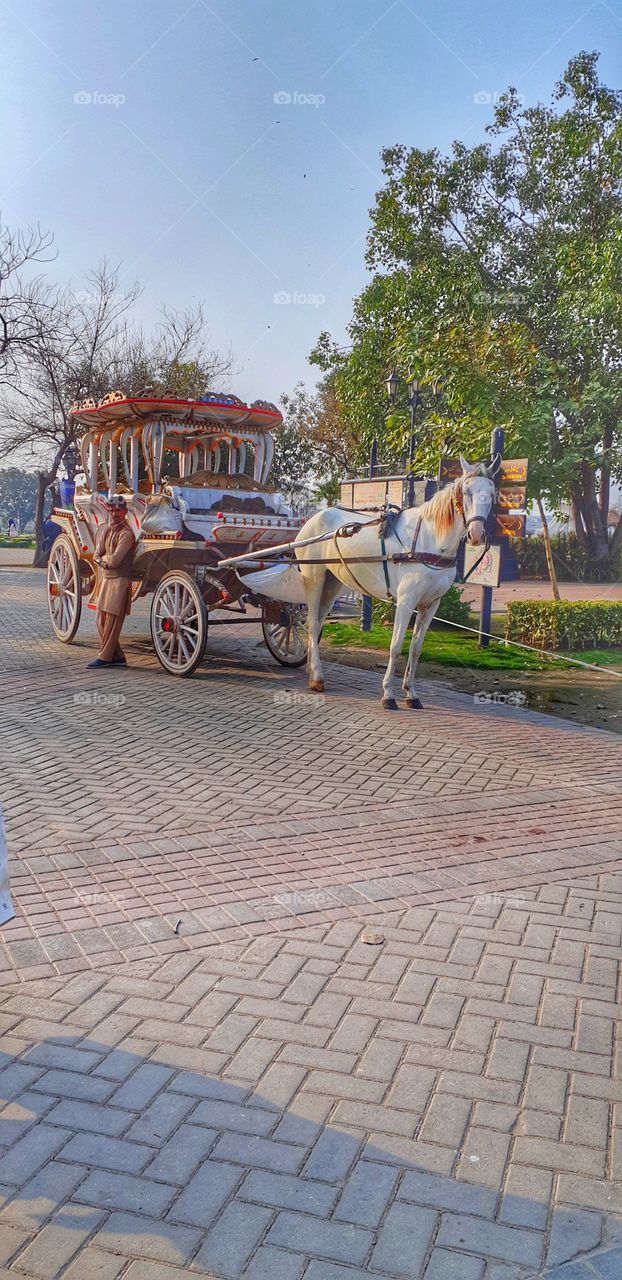 Horse and a carriage with his master resting on the side.