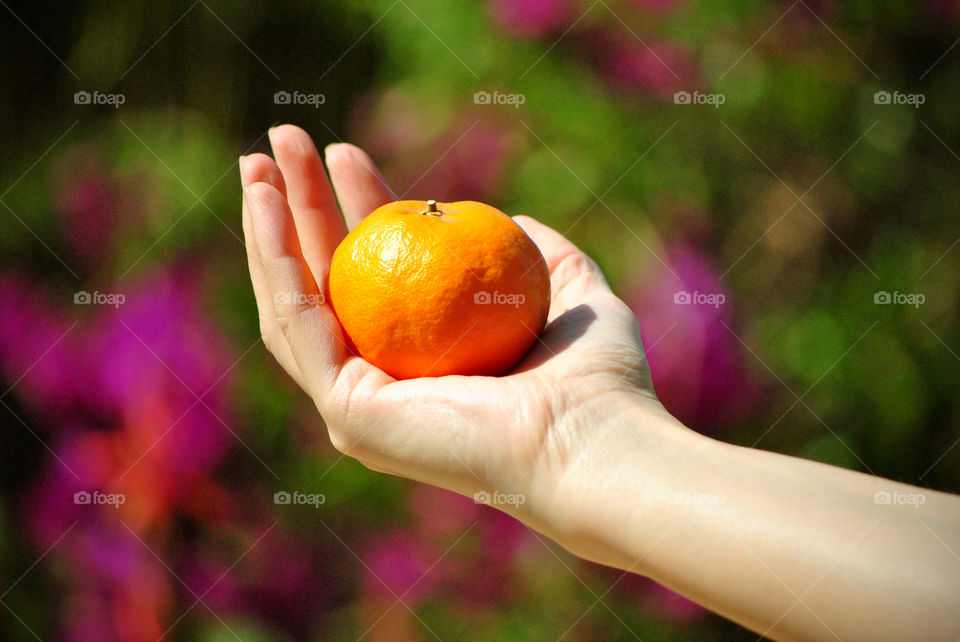 Holding an orange in hand