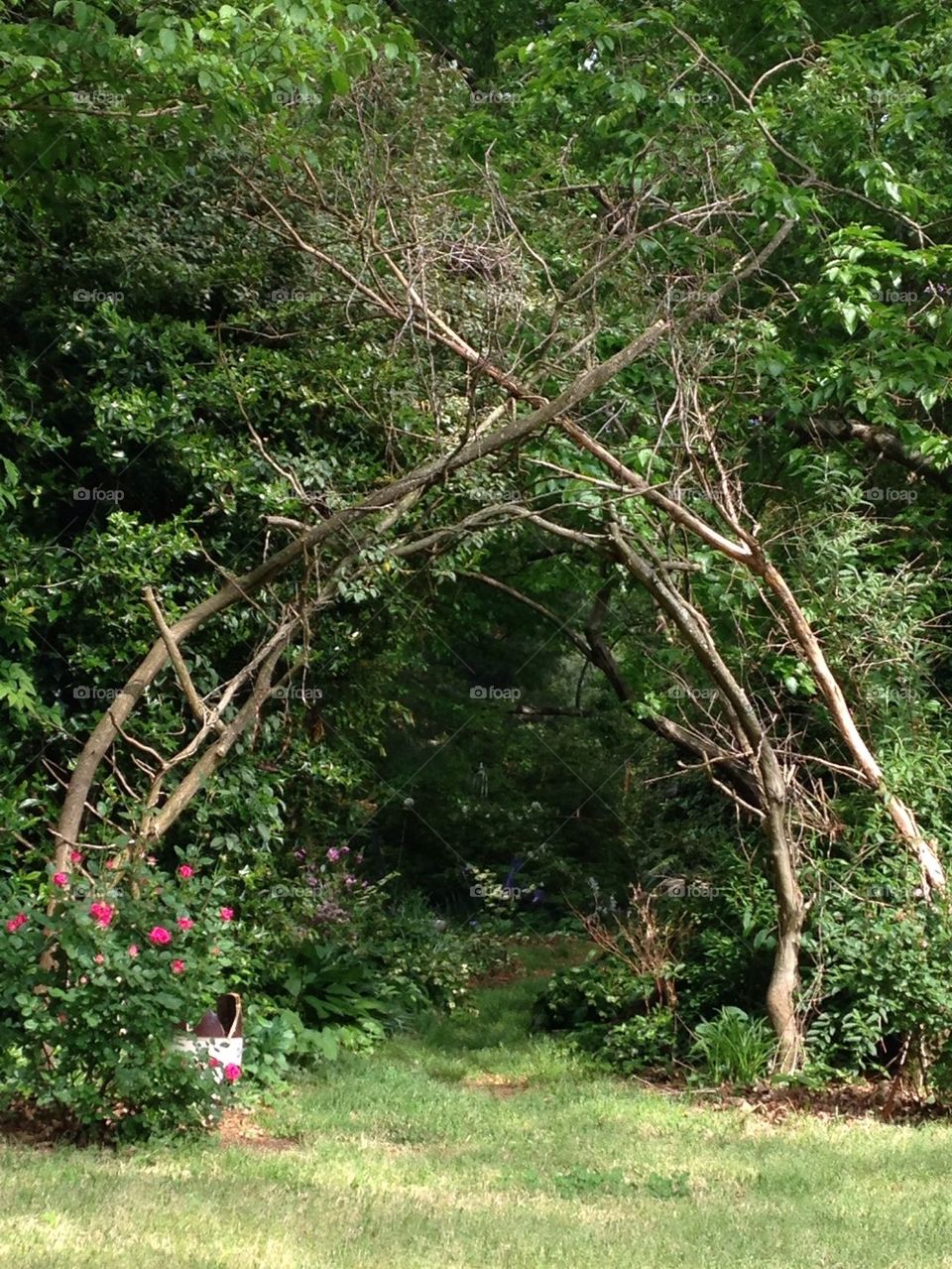Shade garden entrance