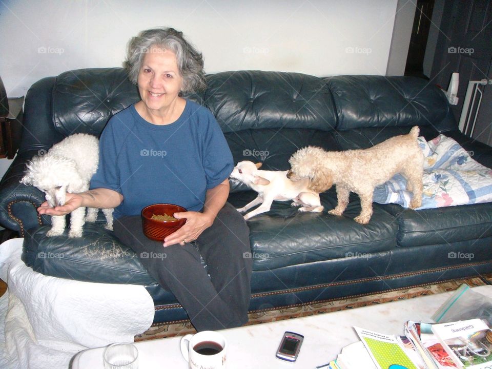 Woman with her three dogs feeding them. All are on a couch in living room. Dogs are kissing & eating. They are all small doggies🐾 The woman is happy & smiling.