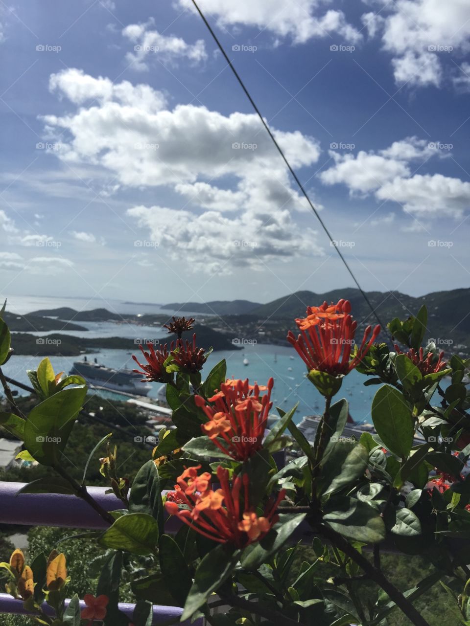 Mountain View. Mountain View in St Thomas