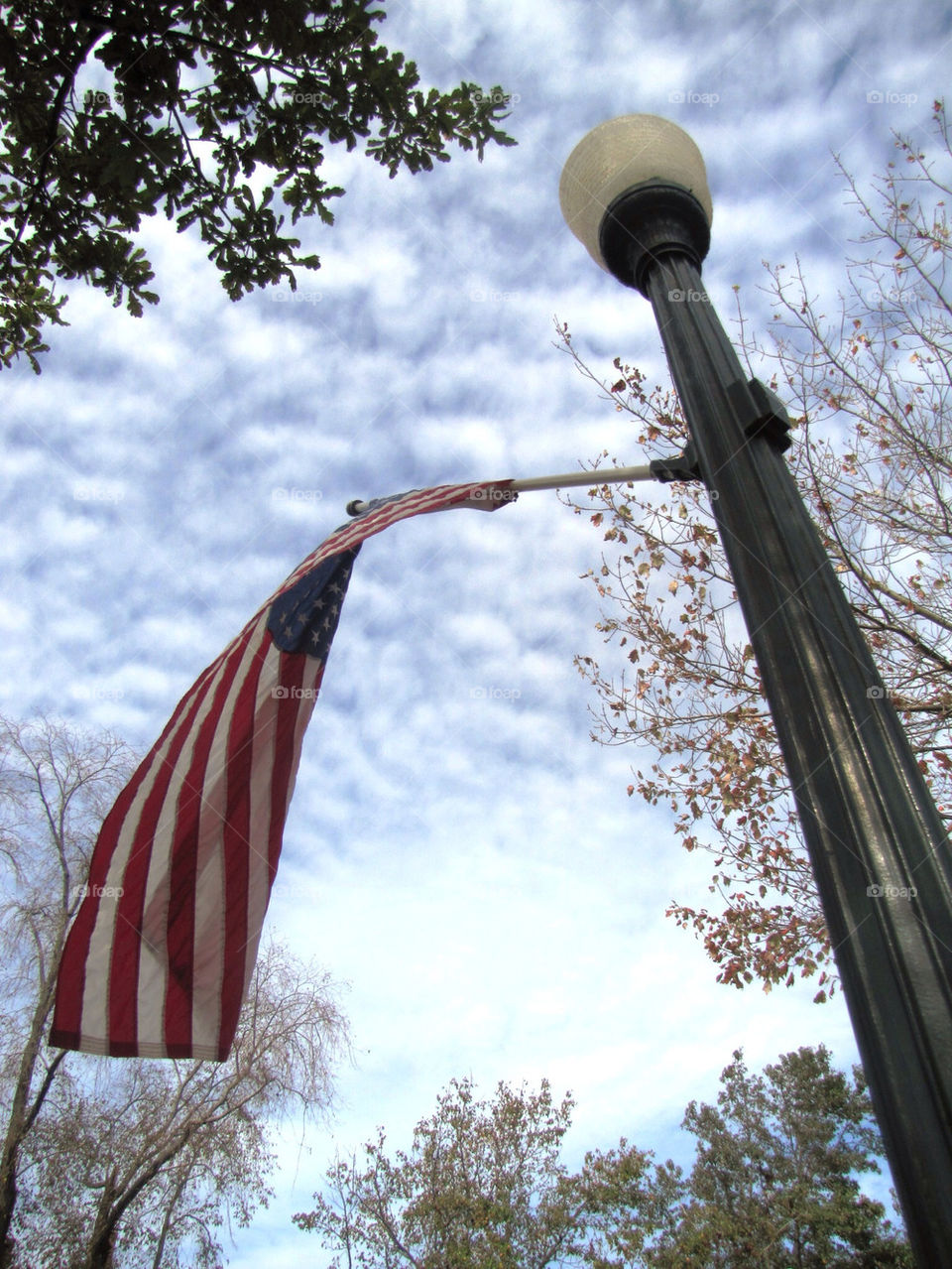 sky light clouds trees by joyahappywalls