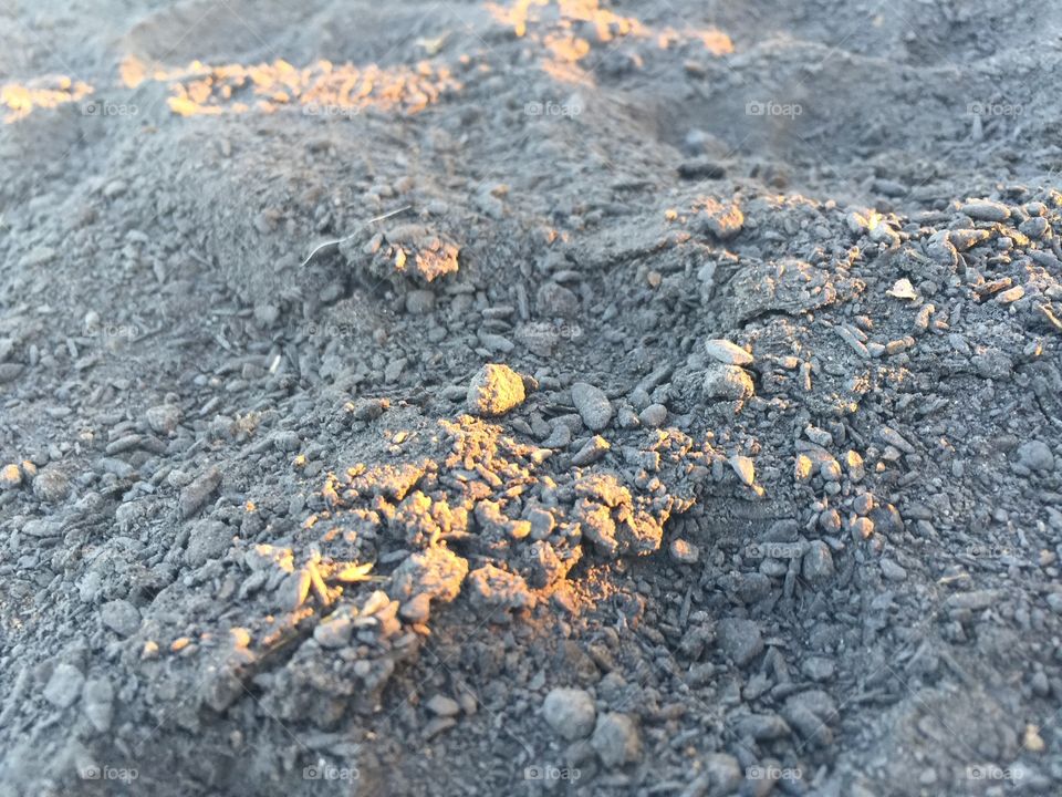 Close-up of sunlight on dirt