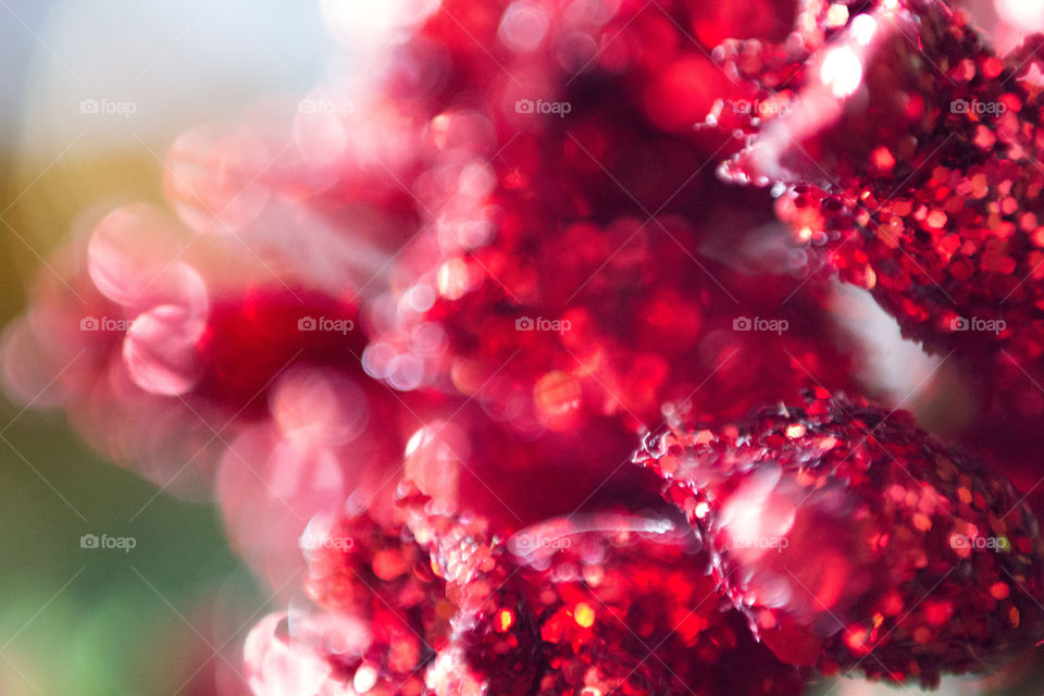 Abstract of red flower