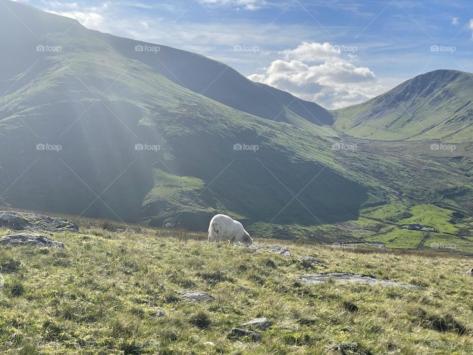 Snowdonia 