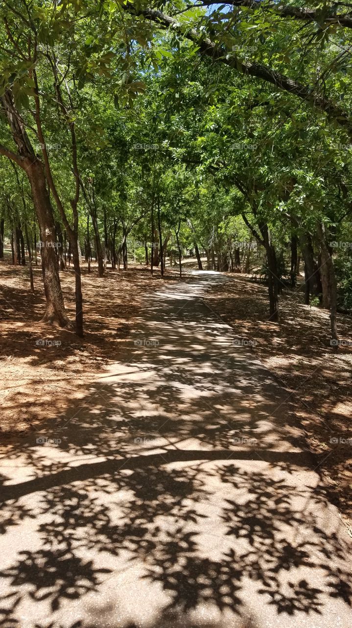 A shady path in a park.