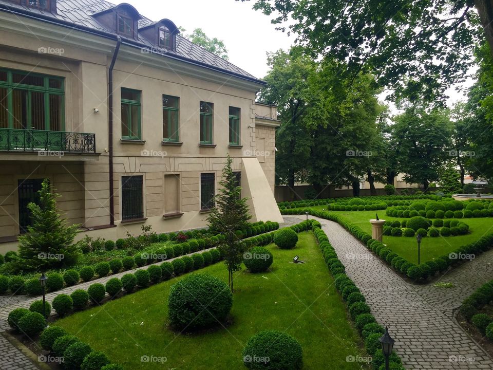 A garden in a courtyard