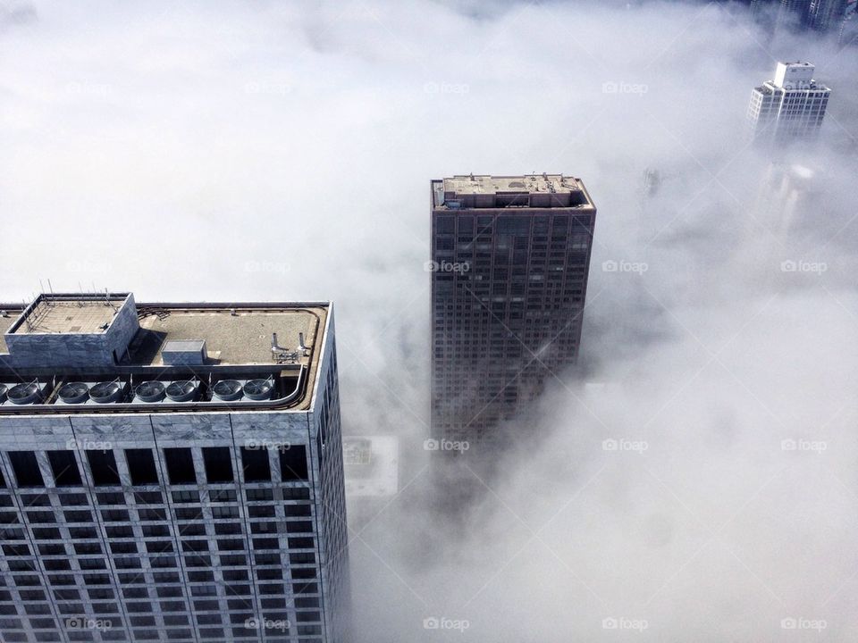 Fog city