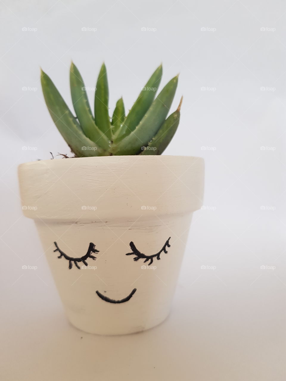 succulents in a cute painted pot