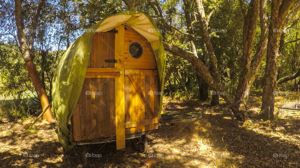 Tiny little Gipsy caravan made of wood, on a big land with lots of trees and green