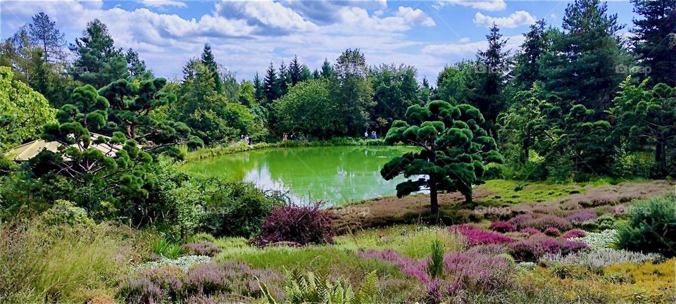 A lake in midst of meadows, forests and trees can be enjoyed at “Himalaya Nepal Park” in “Wiesent”, “Bavaria”, Germany under sheep cumulus clouds in a bright blue sky. 2024. Hypnotic Productions