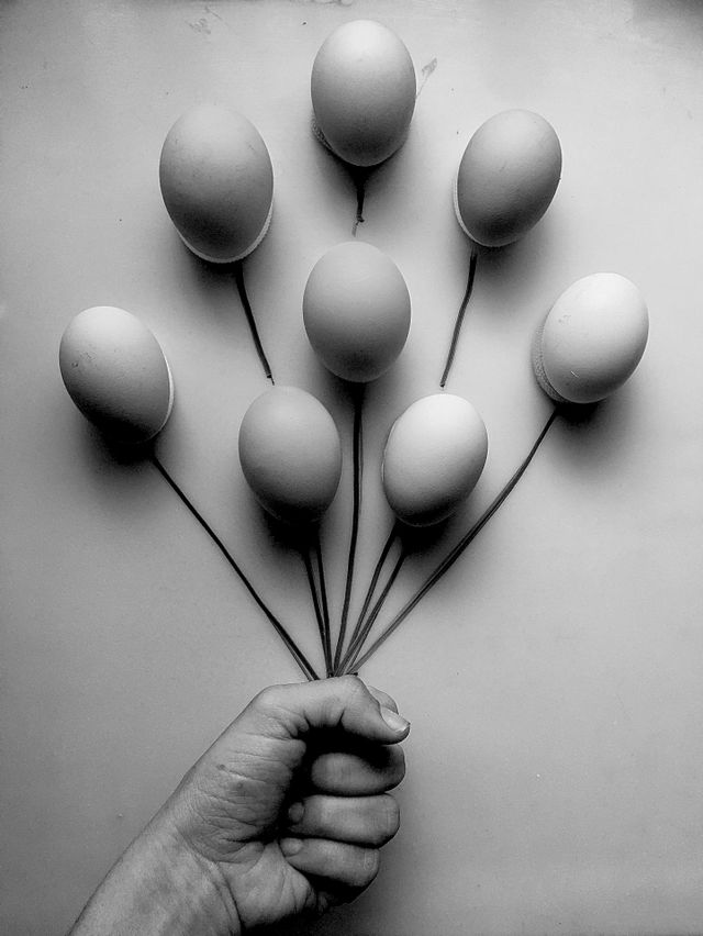 Nice shot. Eggs