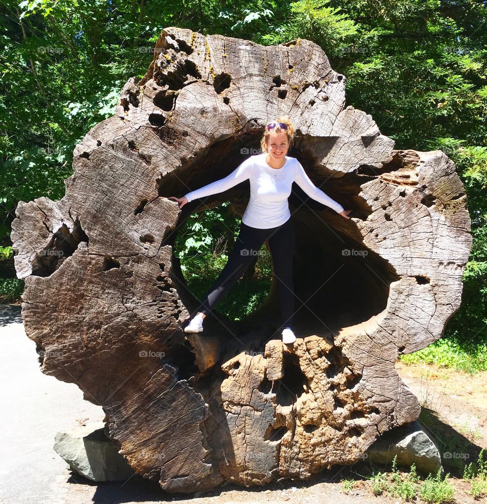 In the trunk of a tree 