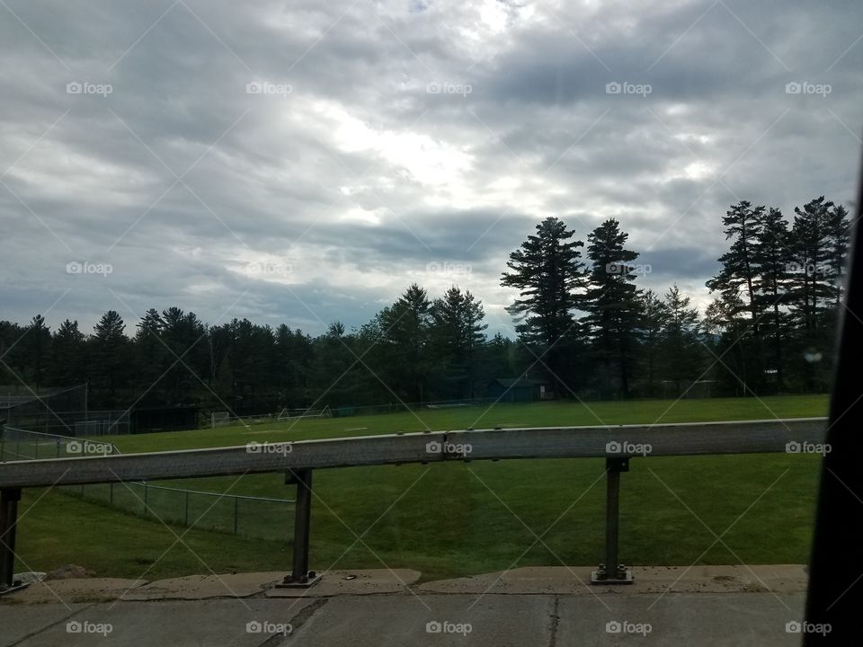 No Person, Tree, Landscape, Grass, Road