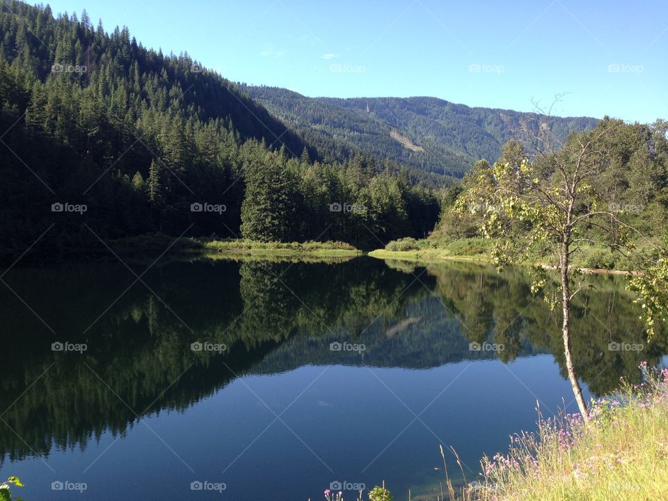 The water was crystal clear and so was my mind