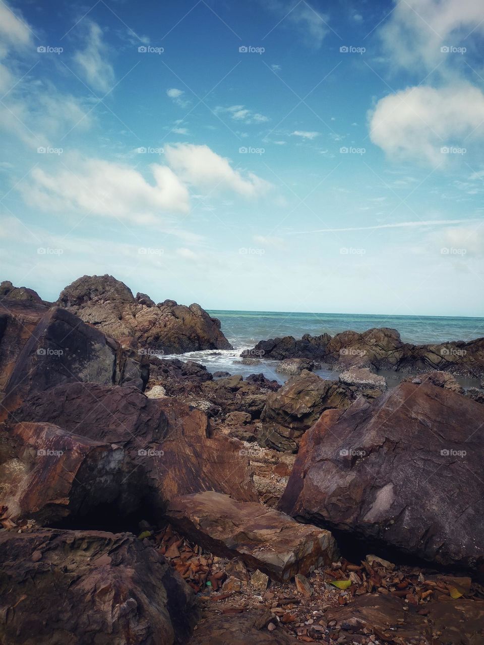photography pictures of trees, mountains, cloves, rocks, sky, sea, sea