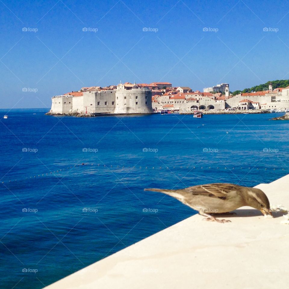 joining me for breakfast. Dubrovnik