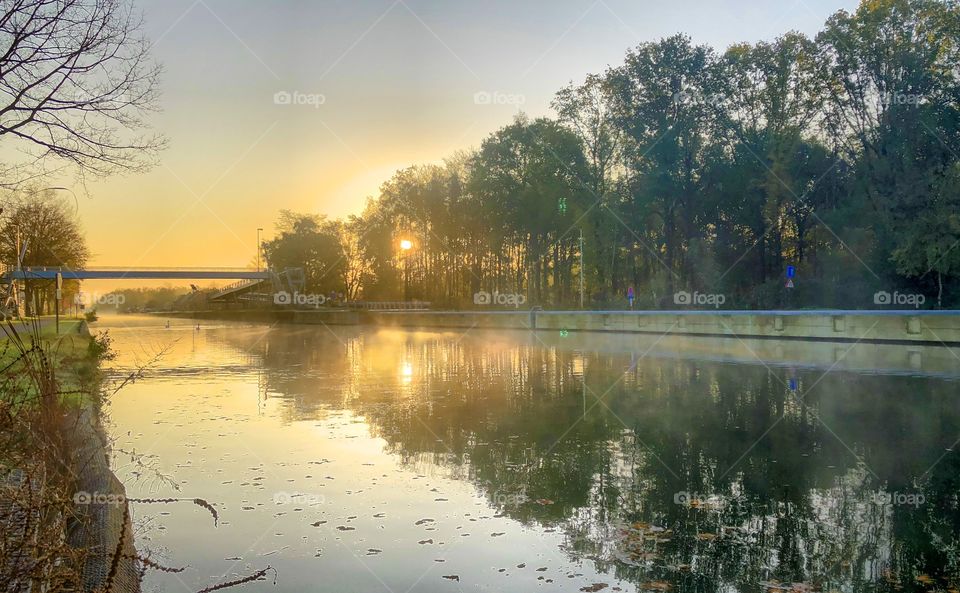 Golden hour sunrise or sunset behind the trees of a forest, reflected in the water of the river or canal