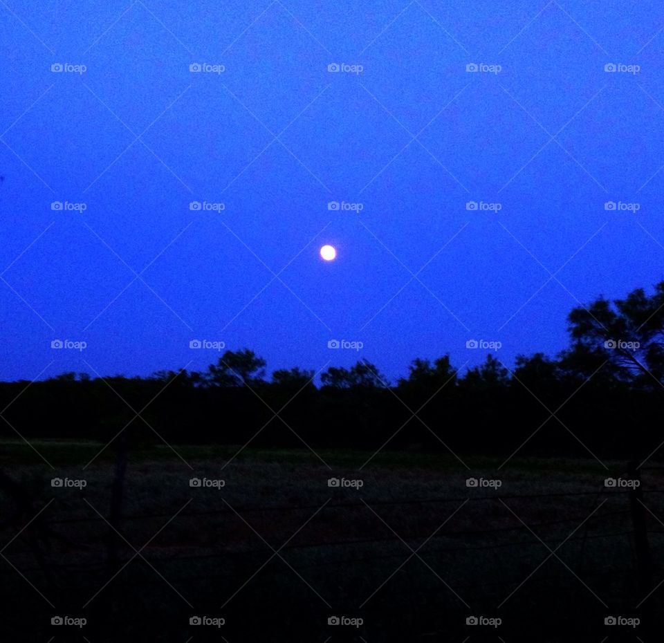 Full moon, dusk, ranch, texas, sunset, sundown