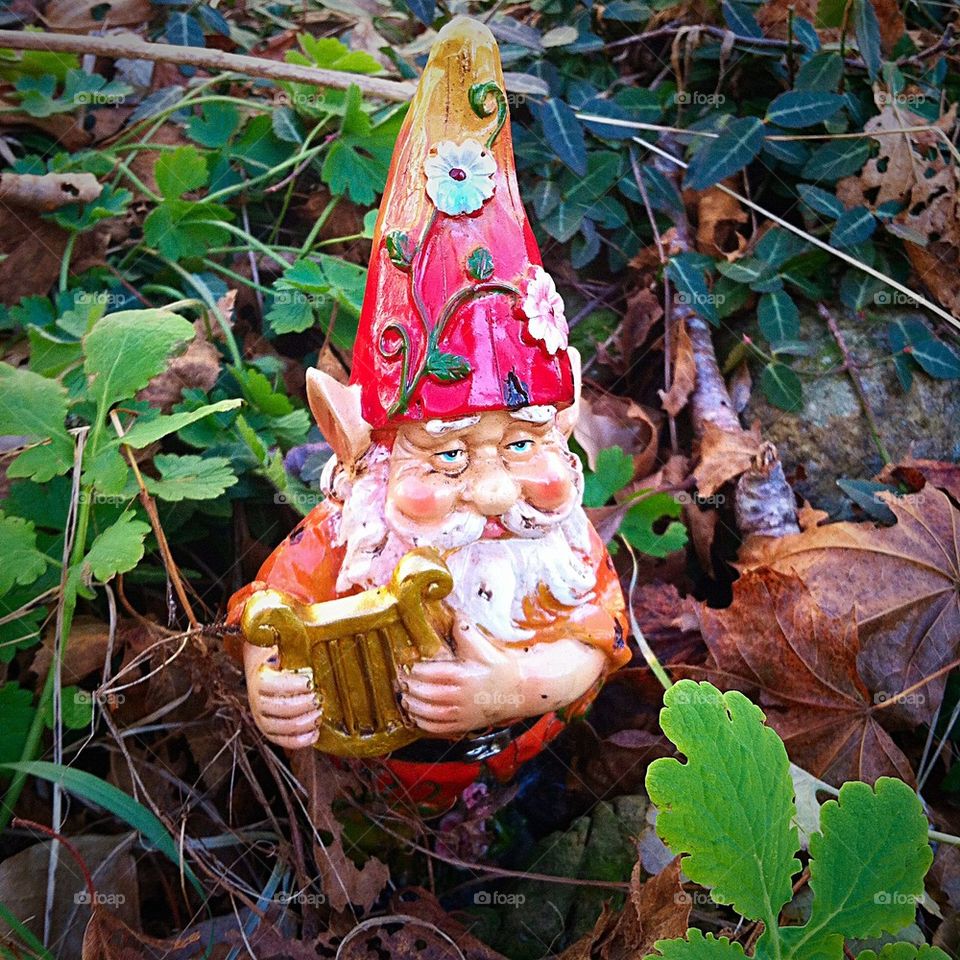 Garden Gnome playing the Lyre