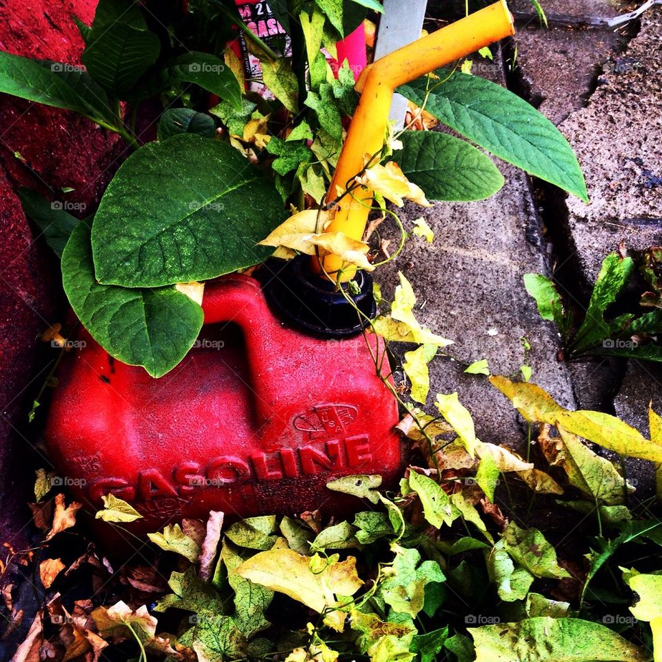Abandoned gas can. 