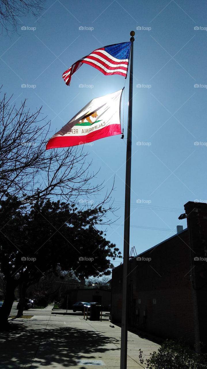 Flags blowing in the wind