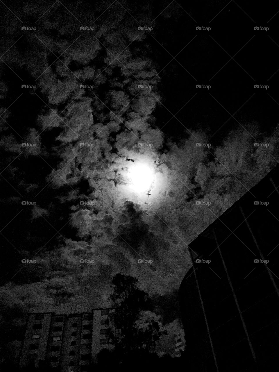 Moon. Ligth in the dark