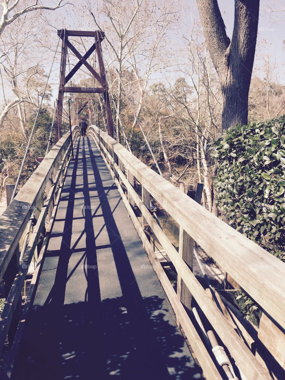 Across the bridge . Bridge into the woods