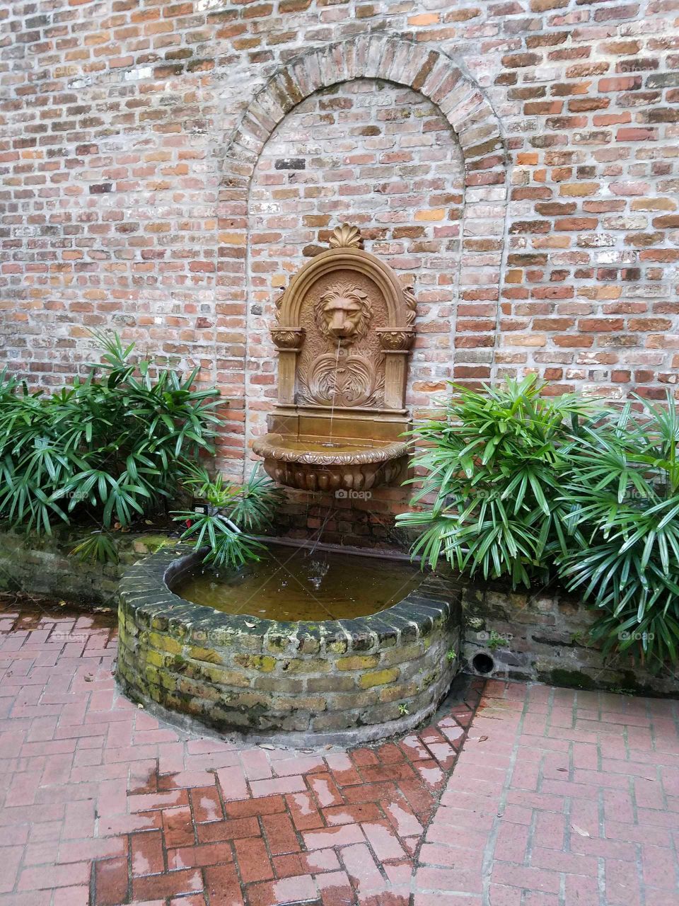 Fountain