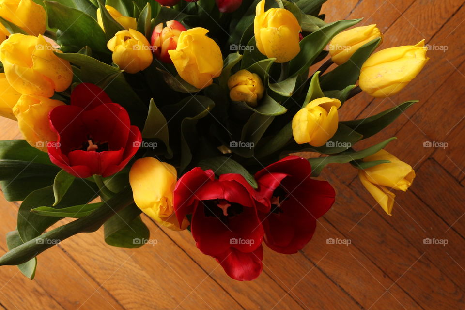 Yellow and red flowers