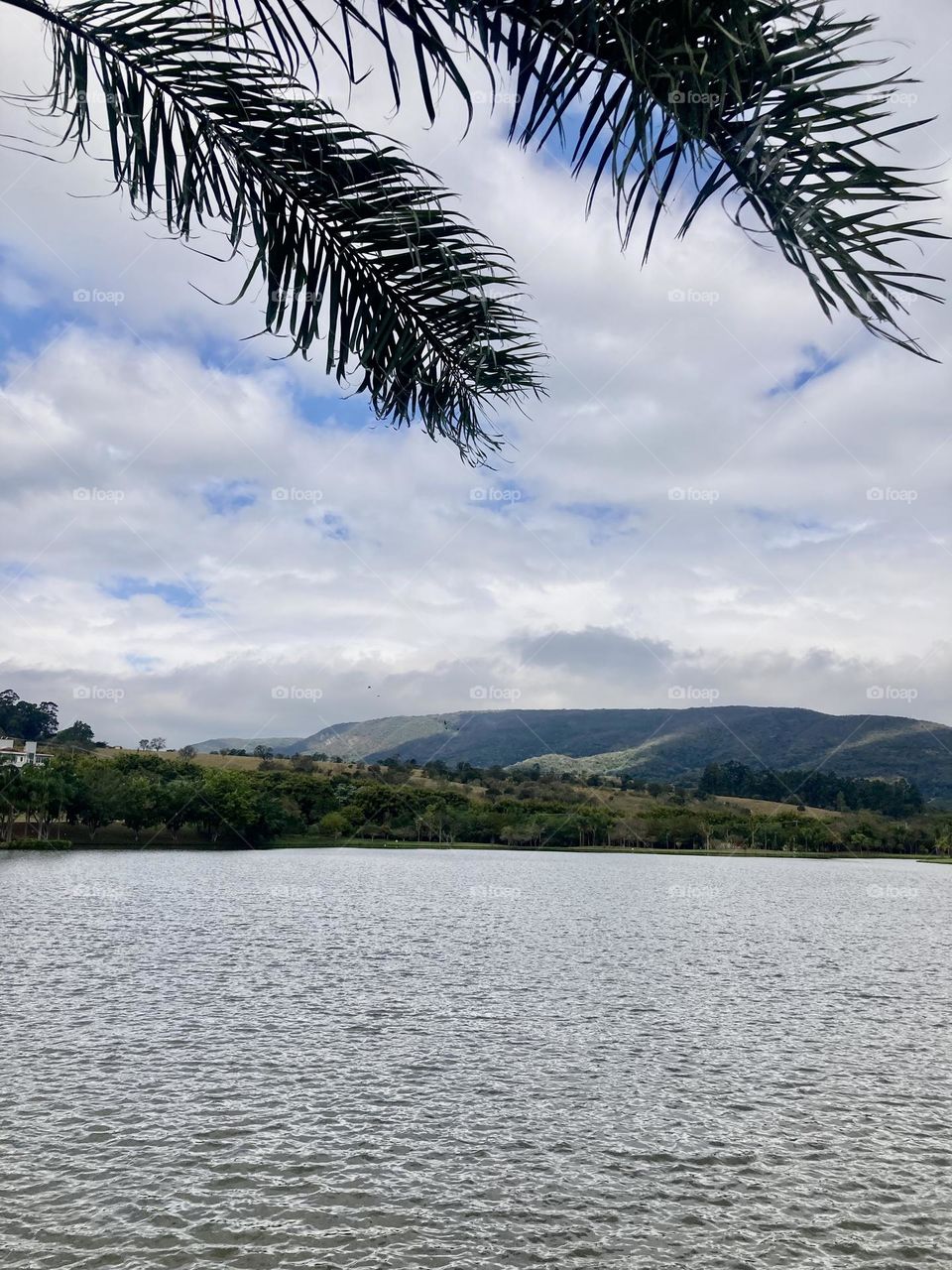 Uma tarde bucólica à beira da Serra do Japi. Que cenário lindo!
Viva a natureza e a sua beleza. 
📸
#FOTOGRAFIAéNOSSOhobby
#sky #céu #natureza #horizonte #fotografia #paisagem #landscapes #inspiração #mobgrafia #XôStress #nuvens 