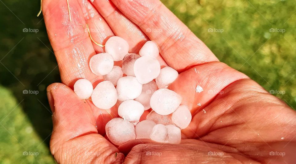 Holding hailstones after a storm!