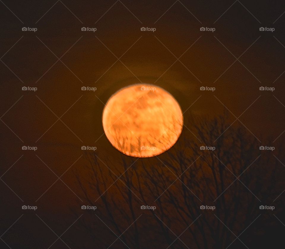 Orange Moon