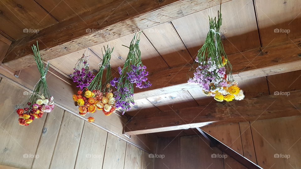 Drying herbs