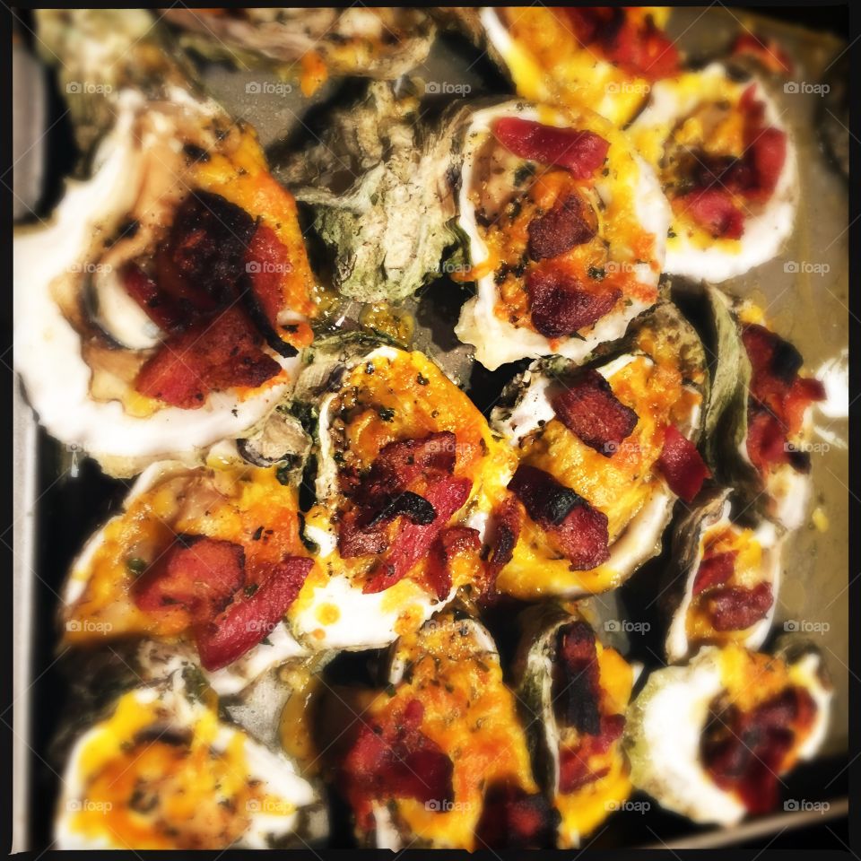 Oysters 