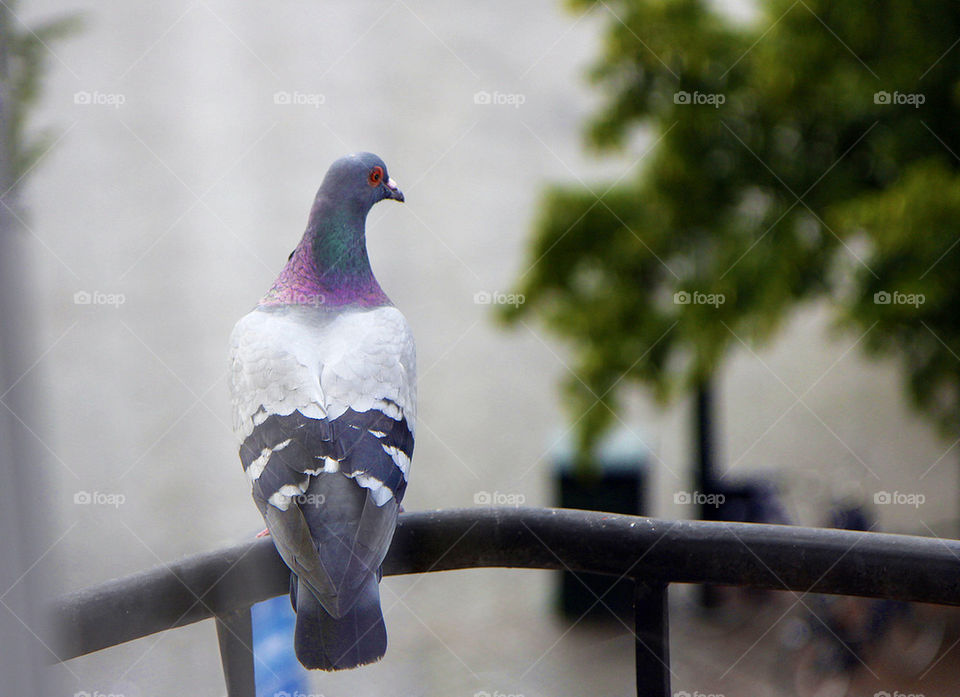 malmö sweden city square by kurekuremartin