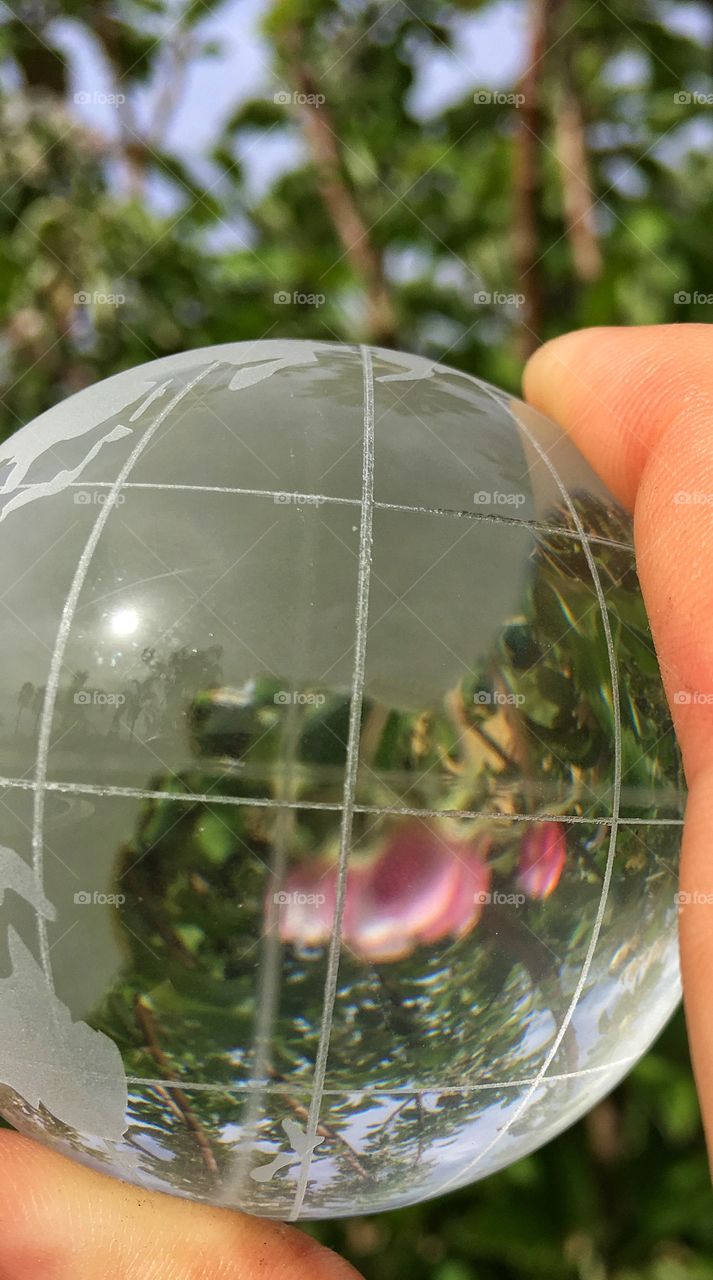 Blooms around the world 