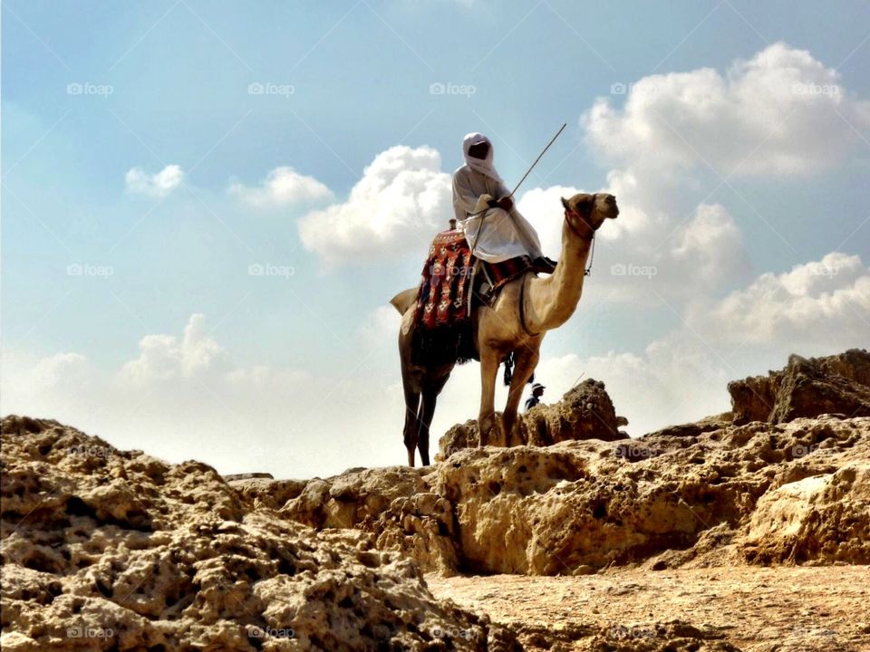 Camel and rider on hill
