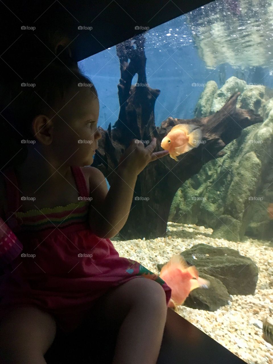 A expressão de alegria da minha filha Maria Estela vendo os peixinhos é apaixonante!