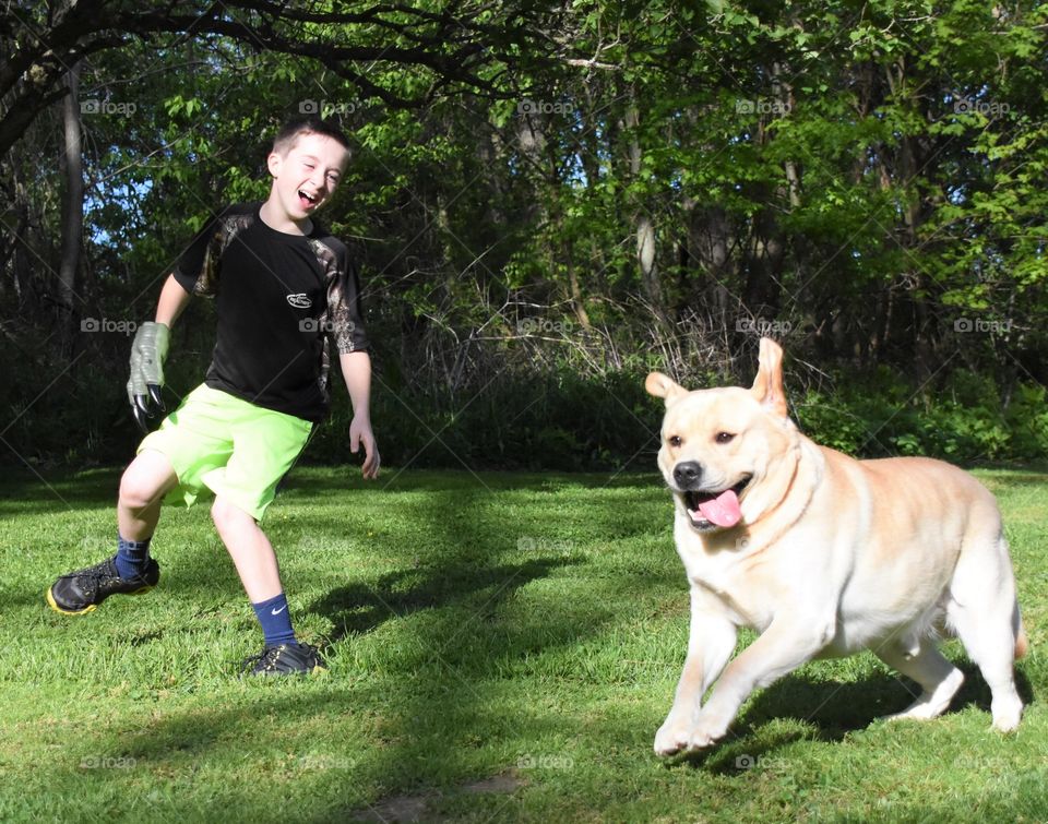 Spring walk with your dog, young boy and his yellow lab 