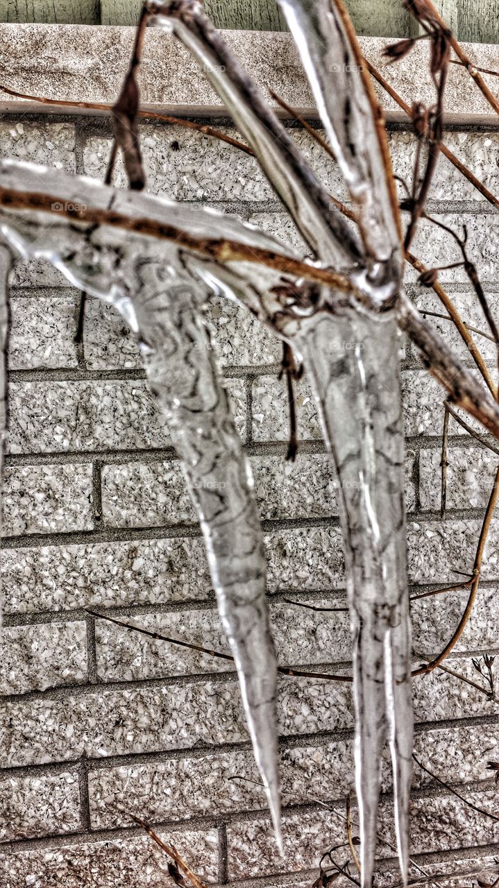 Icicles