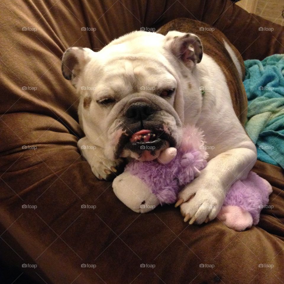 Maggie and her Unicorn having a snooze 
