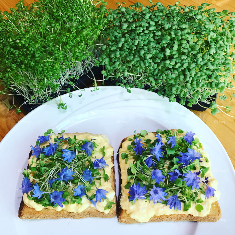 Egg and cress open sandwich with edible flower petals