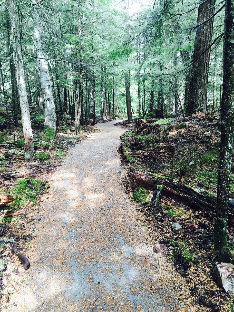 Lost Lake Trail Whistler BC