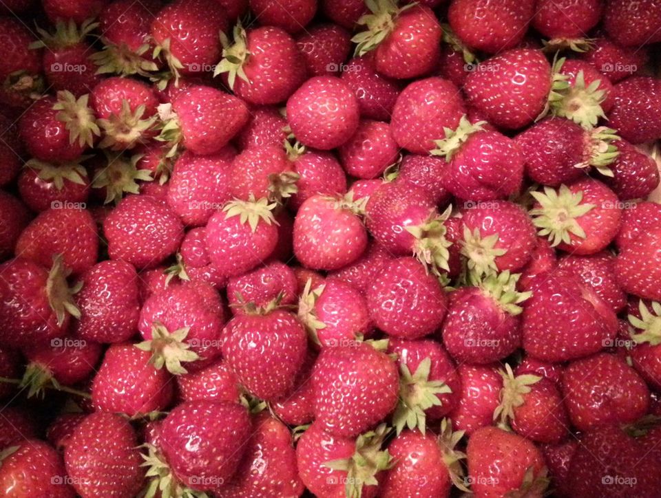 Fresh picked strawberries