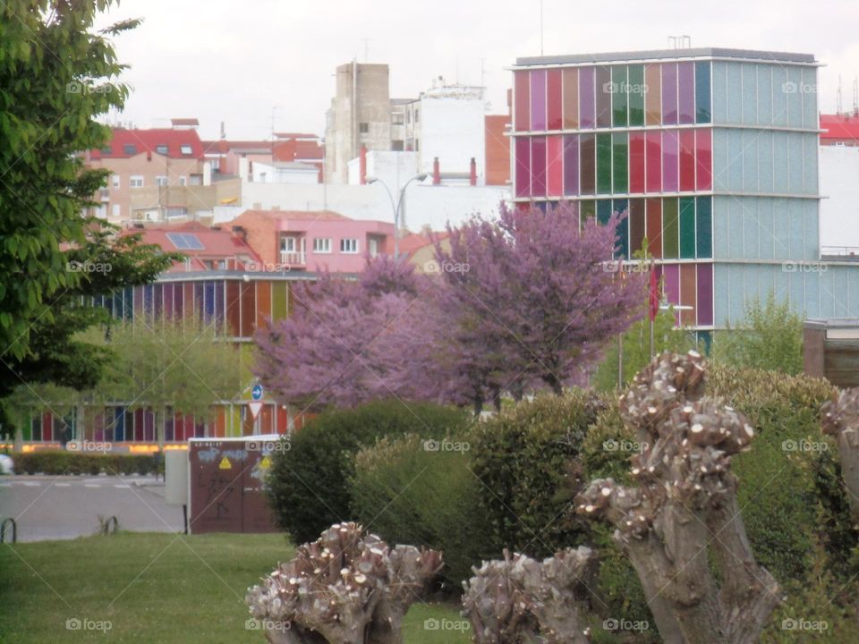 Musac, León España
