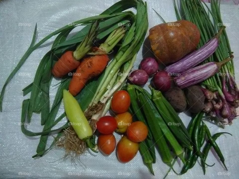 colourful veg